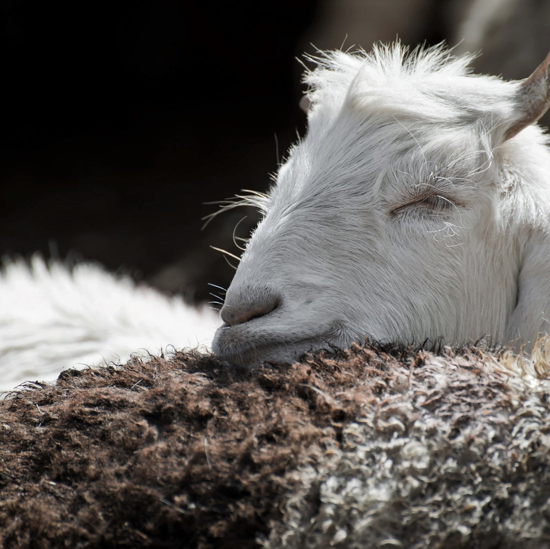 Cashmere - Made in Scotland.